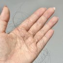 녹샘 | 탈모예방샴푸 추천 바디브 미오 마테 루프 샴푸 사용 후기