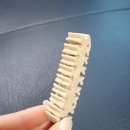 보령컨슈머헬스케어주식회사 | 다이소 강아지 덴탈케어 껌 내돈내산 솔직 후기, 보령 리베펫