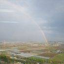 봉황공인중개사사무소 이미지