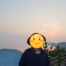 늘푸른청과 | 보길도 - 전남 완도군