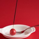토마토인테리어 이미지