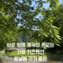 아이리스키즈풀빌라 이미지