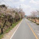 대전면사무소 이미지