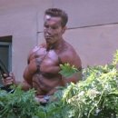 포시즌 휘트니스 이미지