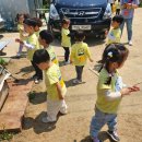 봄소풍 [딸기밭 체험] - 수유공동체 모아어린이집-2 이미지