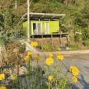 영이네민박 이미지