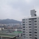 영진보람 이미지