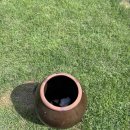마킹커피(Marking Coffee) | [강릉애견카페/강릉애견동반여행]강릉 천연잔디 애견카페 오구커피 방문후기