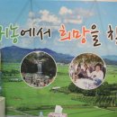 유기농세상