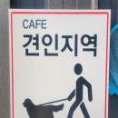 카페 견인지역(CAFE 견인지역)