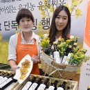 씨유성수점 이미지