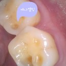 이윤치과의원 이미지