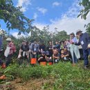 하동마을 이미지