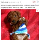 몽글몽글 이미지