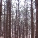 광릉5일장 이미지