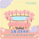 2026 강릉 경포벚꽃축제 기본정보 기간 위치 주차 행사