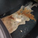 베스트셀프세차손세차 이미지