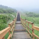 팔공산 하늘정원 이미지