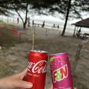 촌할인마트 | 숲 | 카와카와(나나문) 반딧불이 투어 | 나이트마켓 망고 맛집 촌맛탱구리 | 필리피노마켓 사테 맛집