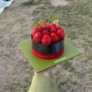 야무진태권도 | 2분기 실적 보고 및 수요도 조사 관련