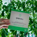 지피랩 | 양배추와 발효곡물효소의 만남 '힐스랩 양배추효소' 후기