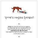 렛미펫 이미지