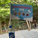 다정펜션 | 천안 계곡 펜션 추천 다정한인생 / 광덕산 계곡 대한가든 백숙 후기