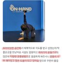 온핸드짐 PT | 봉천역PT 온핸드짐 회원 리얼 후기 ㅣ 리뷰의 리뷰 1편