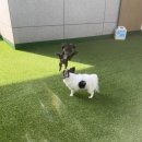 멍더캐슬 이미지