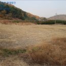 율촌초산수분교장 이미지