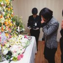 멍멍이네 이미지