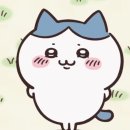몽 | 몽(蒙) 후기