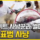 이누이트 사냥꾼과 썰매개 바다표범 이미지