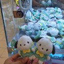 개이득뽑기방 이미지