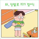 곰체육관 이미지