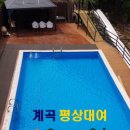 늘푸른펜션 네이버블로그