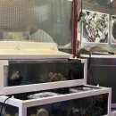 남동82 | 구월동 조개구이 조개까는 포차 만수점 방문후기, 밤에 먹은 조개구이