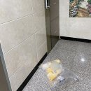 [내 돈 내산] 피죤 고농축 섬유 유연제 후기 - 피죤 써니 가든