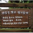 맑고 향기롭게 이미지