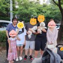 행복한수학전문학원 이미지