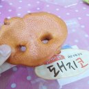 BOB 애견용품 아울렛 네이버블로그