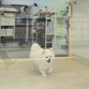 행복미용실 이미지