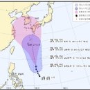 피토 이미지
