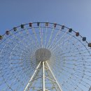 선운 태권도 이미지