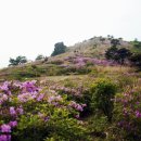 옥룡GS마켓 이미지