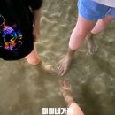 이마트24 송정블루캐슬점 이미지