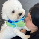 둘리유치원 이미지