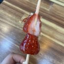 [대구] 동성로 약전골목 탕후루맛집 약전송이 (+ 아이스크림할인점 아이스탕후루후기)