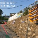 하우스 라퓨타 이미지