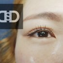 뚱슈헤나 이미지